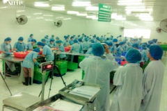 about-nhimproduction-058