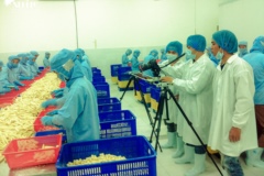 about-nhimproduction-059